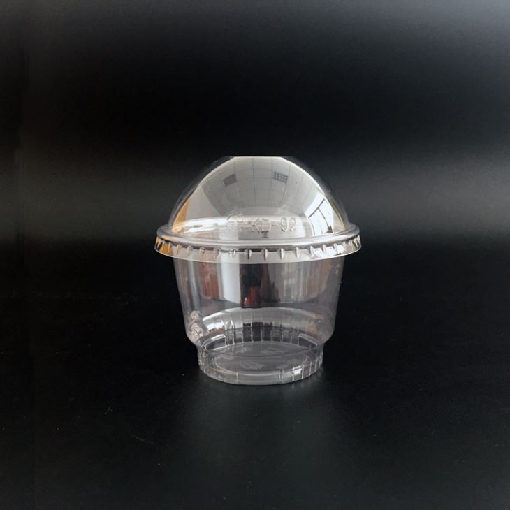 Ice Cream Cup with Lids (2)